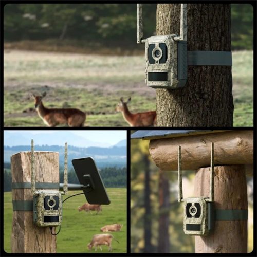 Reolink Talon Series T130/8MP/éjjellátó mód/4G/IP67 terepmintás kültéri kamera