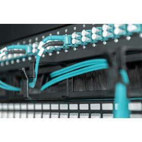   DIGITUS DN-97663 19" 1U gyűrűs fésűs fekete kábelrendező