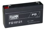 FIAMM - FG10121