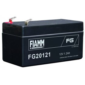 FIAMM - FG20121