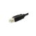 Equip Átalakító Kábel - 12888207 (USB-C -> USB-B 2.0 kábel, apa/apa, 1m)