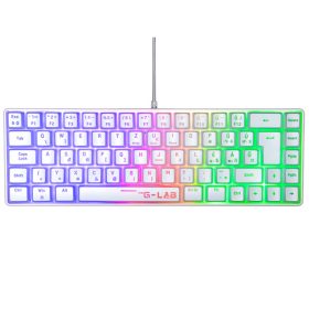   The G-Lab Gamer Billentyűzet - KEYZ HYDROGEN W/HU (RGB LED, TKL, USB, fehér, magyar)