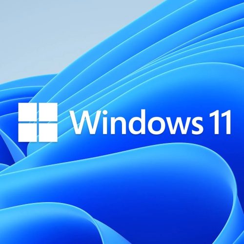 Microsoft - Microsoft Windows 11 Pro 64Bit, Hungarian 1pk DSP OEI DVD